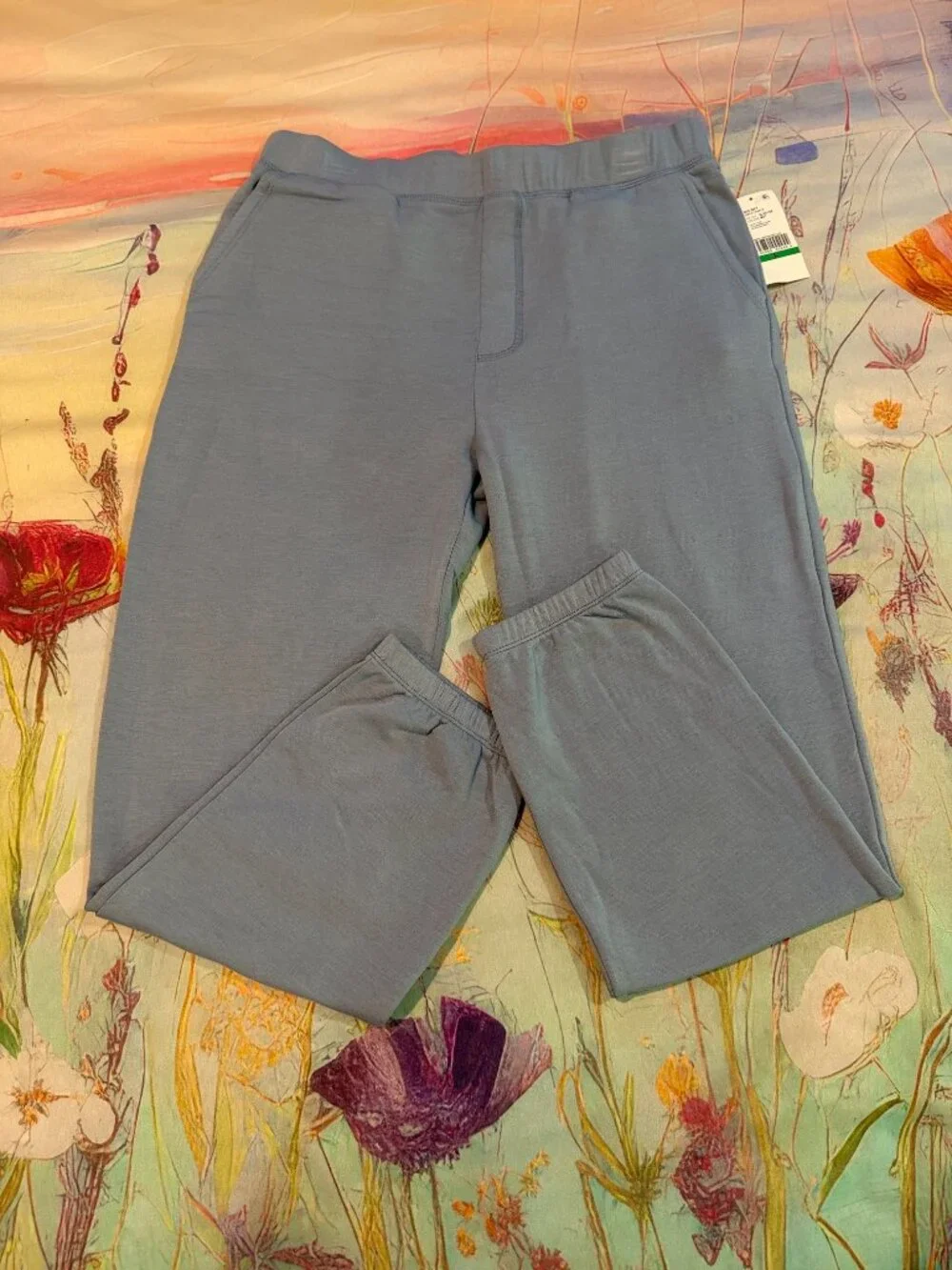 💙 Karen Kane Big Sky Sweat Pants – Blue – Size L 💙☁️